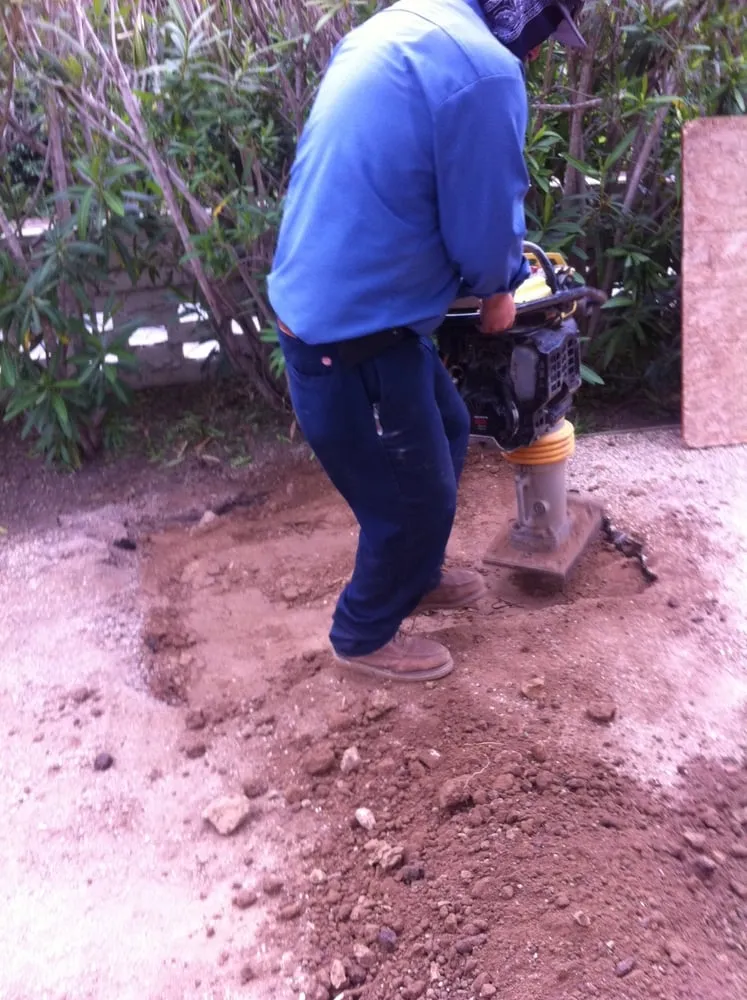 Slide of Wise Choice