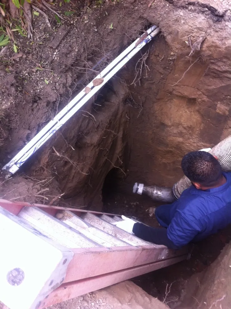 Slide of Wise Choice