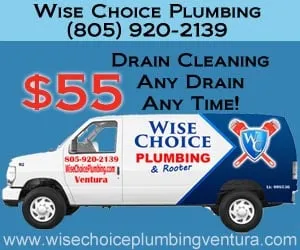 Slide of Wise Choice