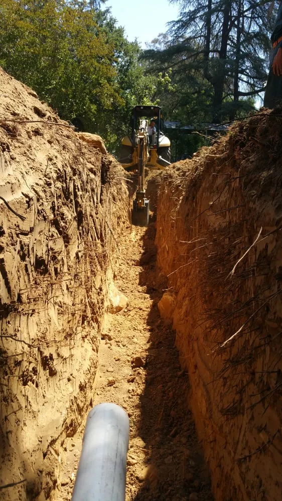 Slide of Wise Choice