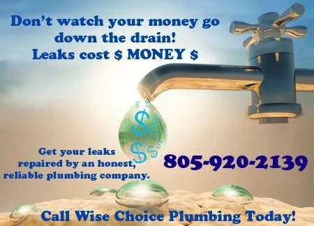 Slide of Wise Choice