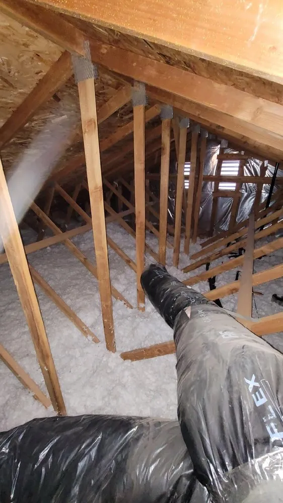 Slide of Wise Monkey Repipe & Construction