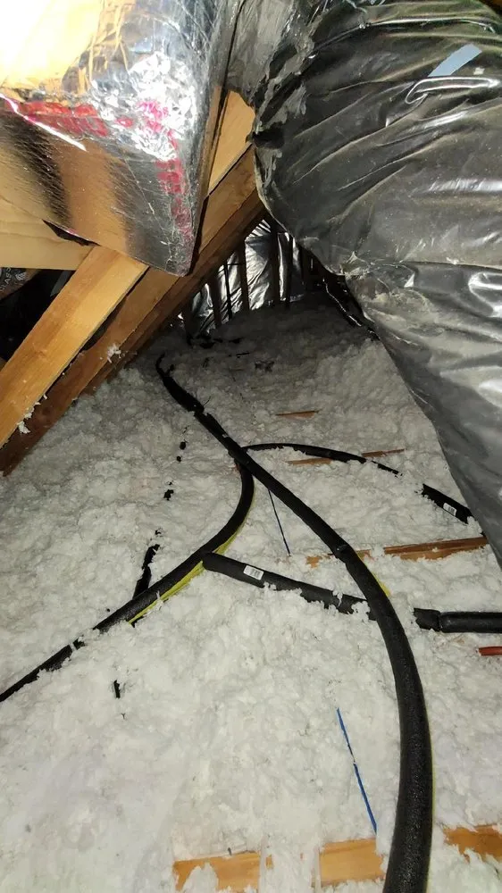 Expert drain cleaning in Elk Grove, CA by Wise Monkey Repipe & Construction