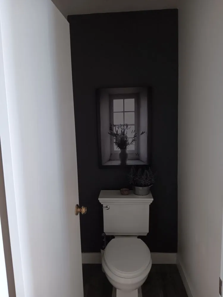 Slide of Wise Monkey Repipe & Construction