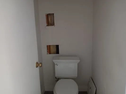 Wise Monkey Repipe & Construction Logo