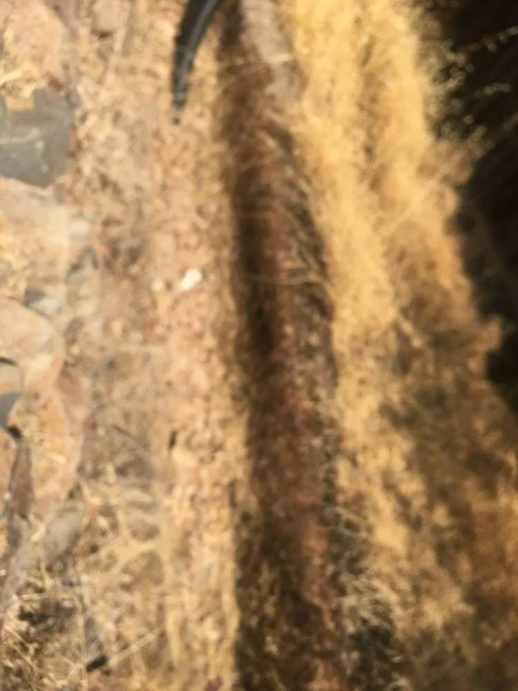 Slide of Wiser Plumbing