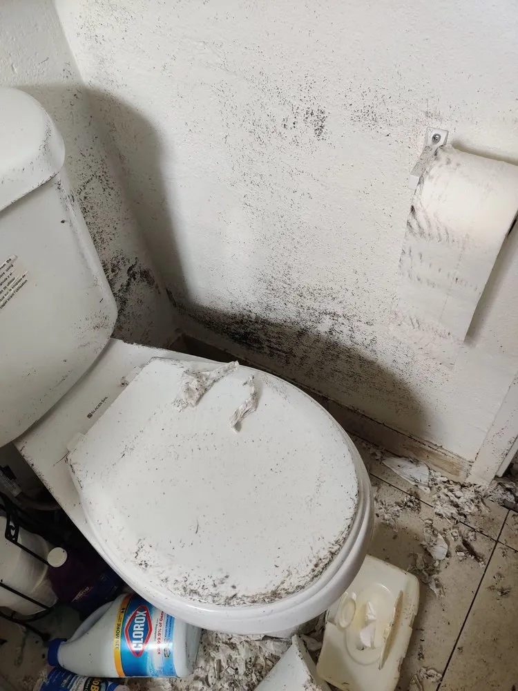 Slide of WM Plumbing Septic Tank & Grease Trap