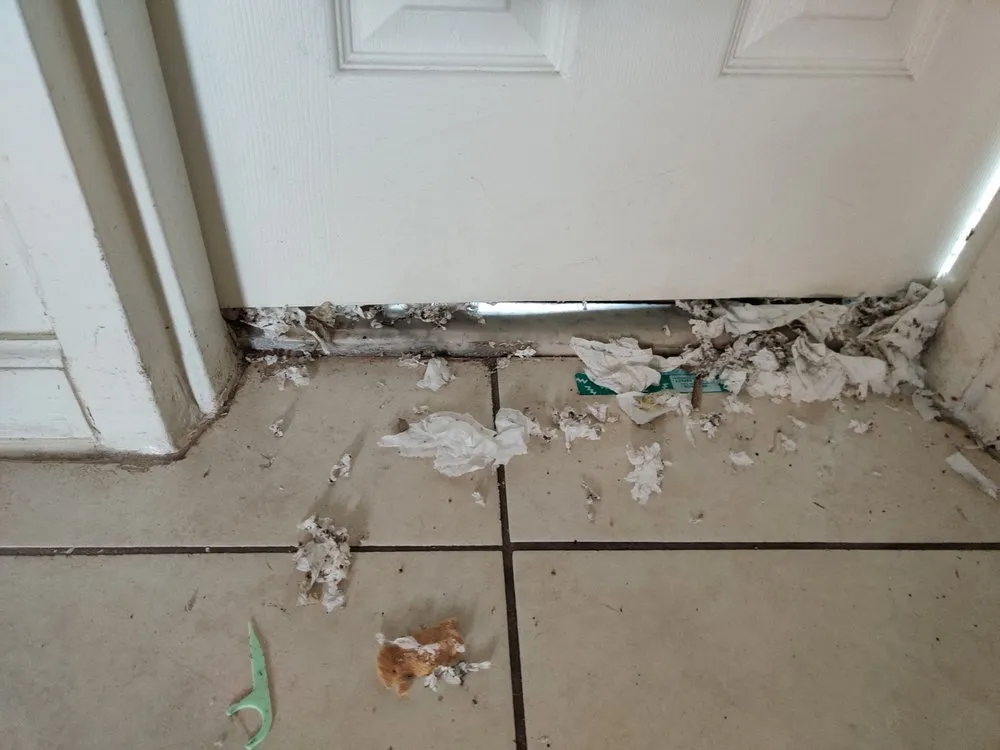 Slide of WM Plumbing Septic Tank & Grease Trap