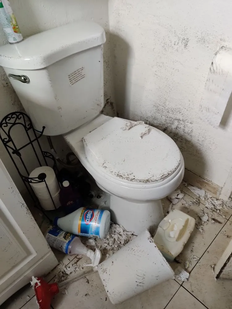 Slide of WM Plumbing Septic Tank & Grease Trap