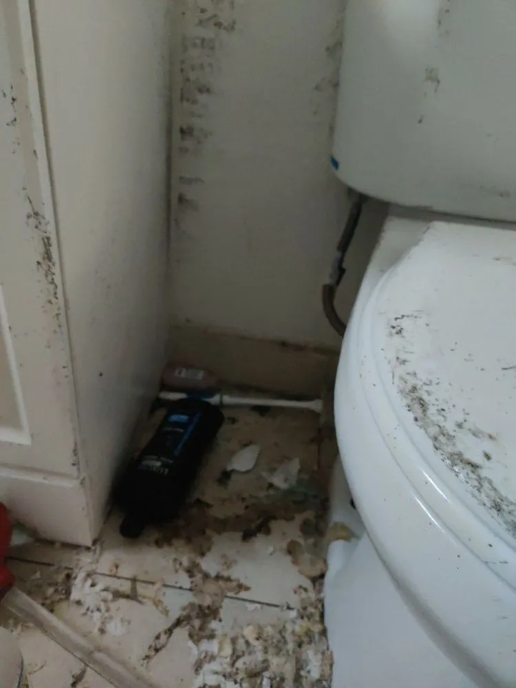 Slide of WM Plumbing Septic Tank & Grease Trap