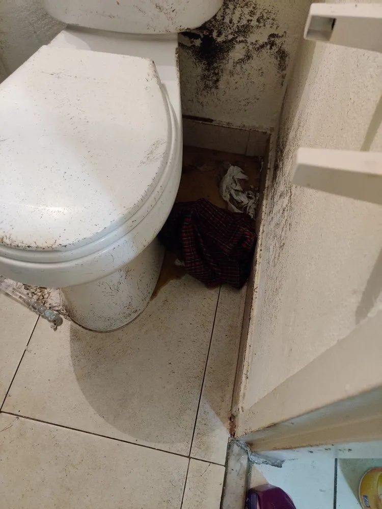 Top-rated pipe repair experts serving Doral, FL - WM Plumbing Septic Tank & Grease Trap