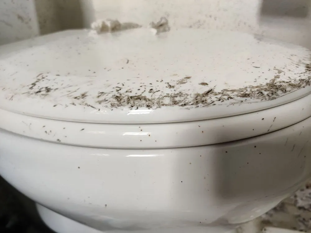 Slide of WM Plumbing Septic Tank & Grease Trap