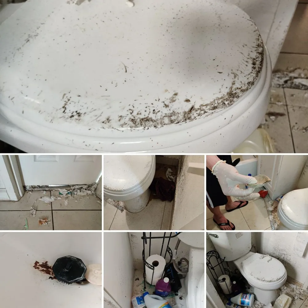 Slide of WM Plumbing Septic Tank & Grease Trap