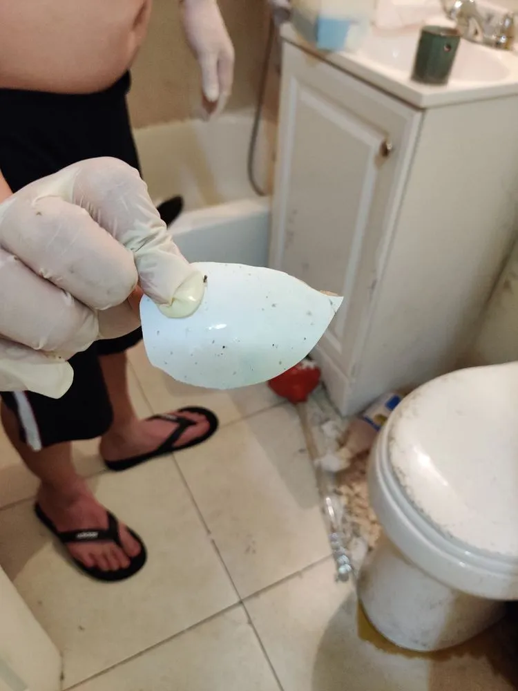 Slide of WM Plumbing Septic Tank & Grease Trap