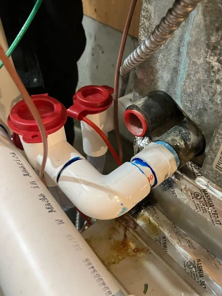 Slide of Wolcott Services