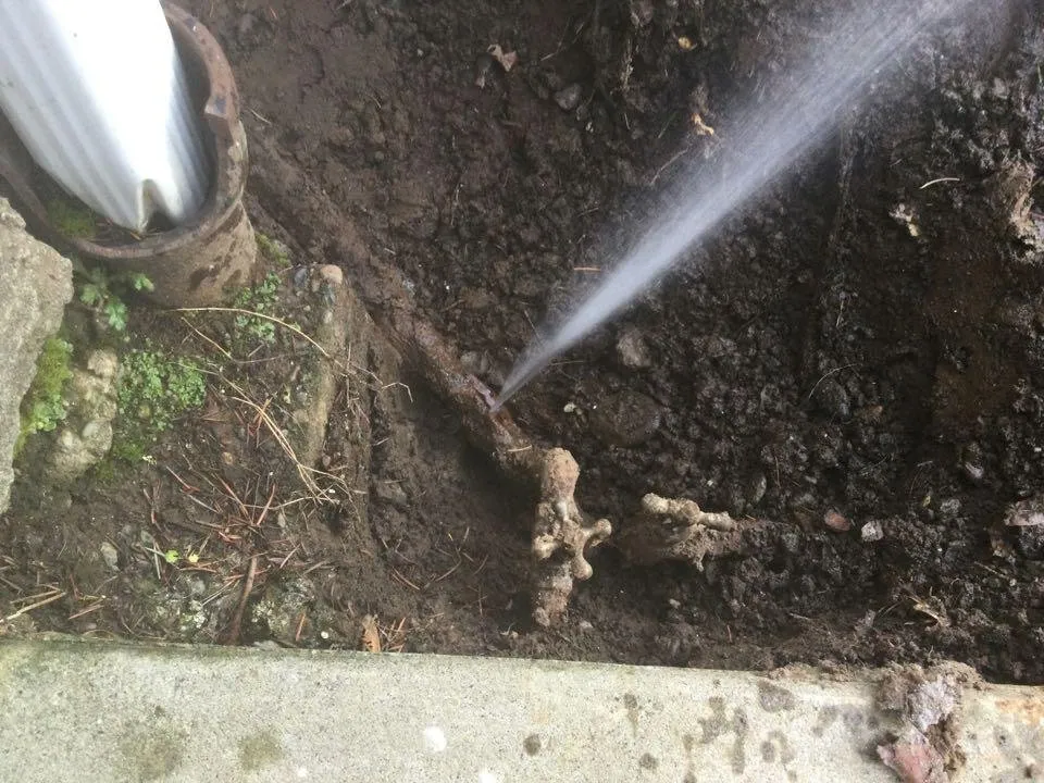 Slide of Wolcott Services