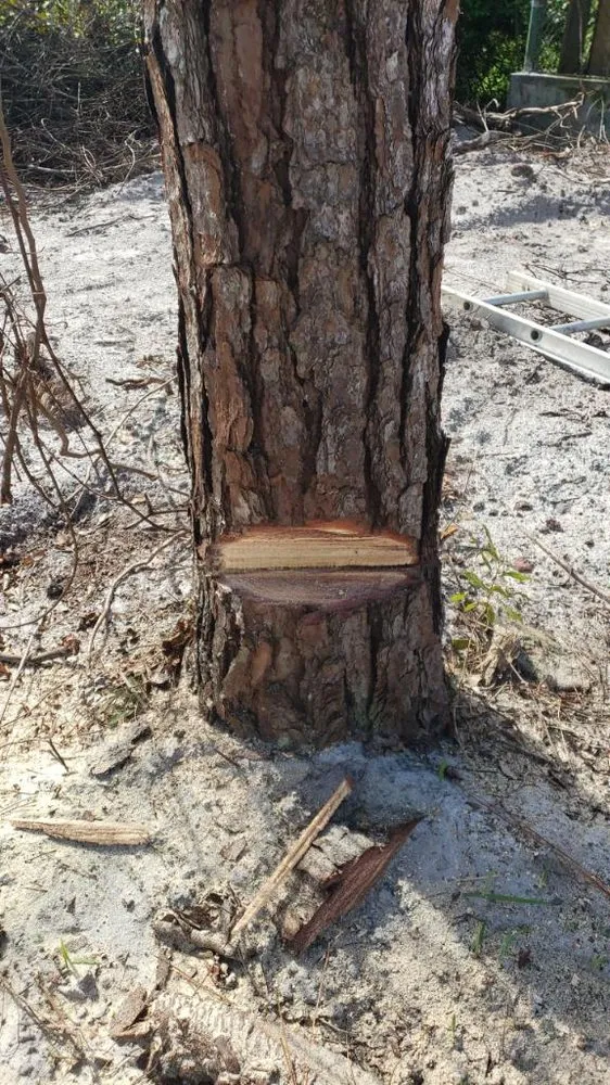 Slide of Wolf Maintenance and Lawn Care