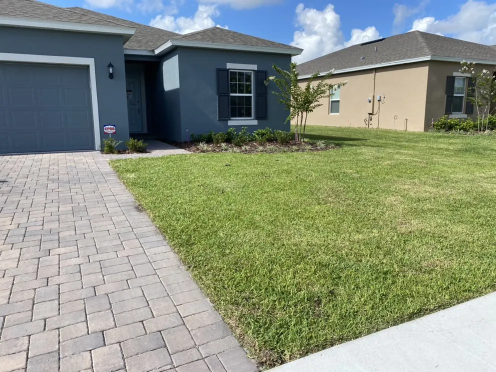 Slide of Wolf Maintenance and Lawn Care