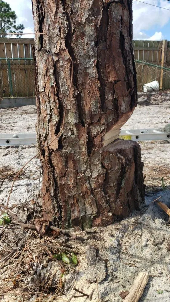 Slide of Wolf Maintenance and Lawn Care