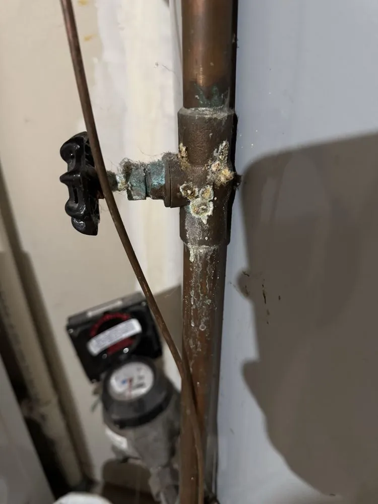 Slide of Wolf Plumbing