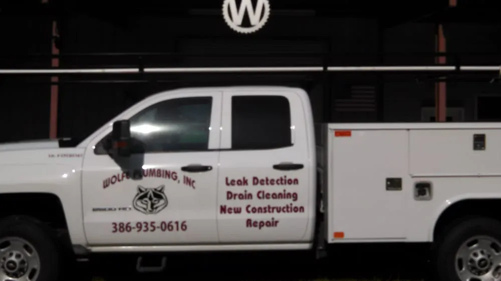 Reliable leak detection for homes in Branford, FL by Wolfe Plumbing