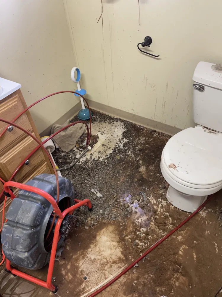 Slide of Wolff Underground