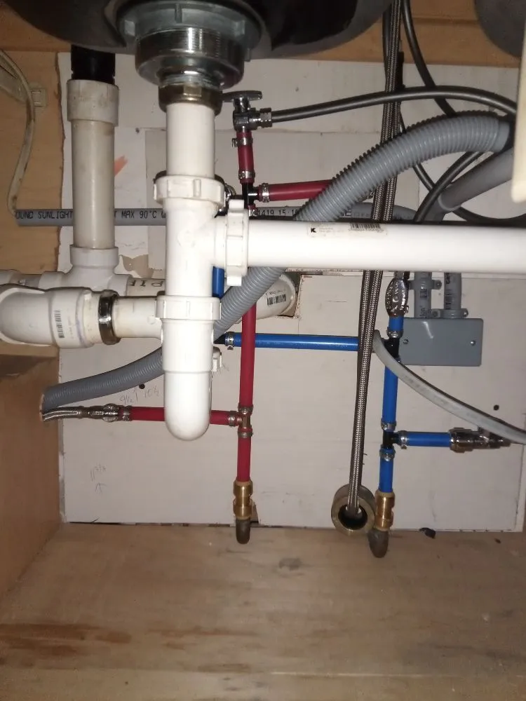 Slide of Womack's Painting