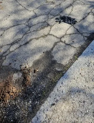 Wood's Plumbing Enterprises