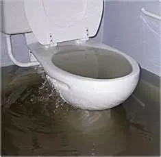 Slide of Wood's Rooter Service