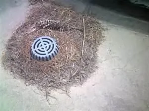 Slide of Wood's Rooter Service