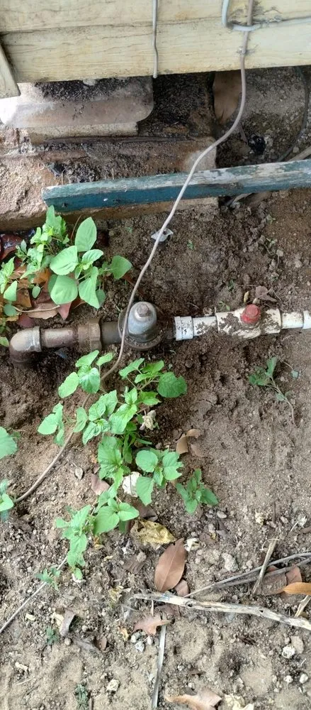 Slide of Woody's Plumbing Services