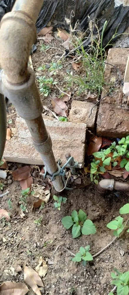 Slide of Woody's Plumbing Services