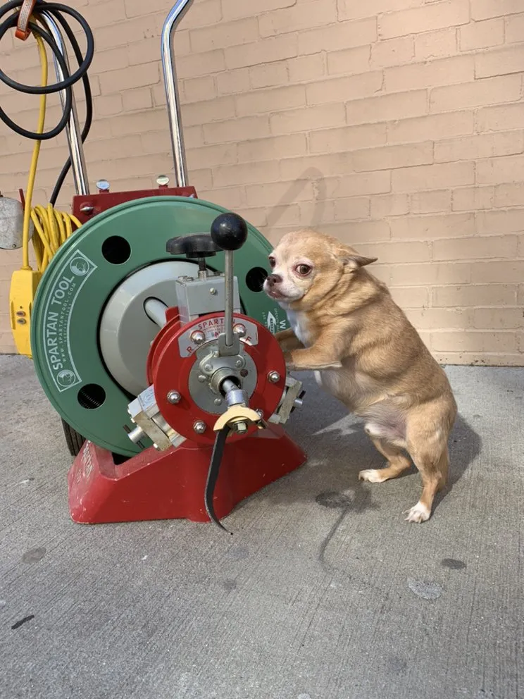 Top-rated drain cleaning service in Queens, NY - Woosh Pipe and Drain Company