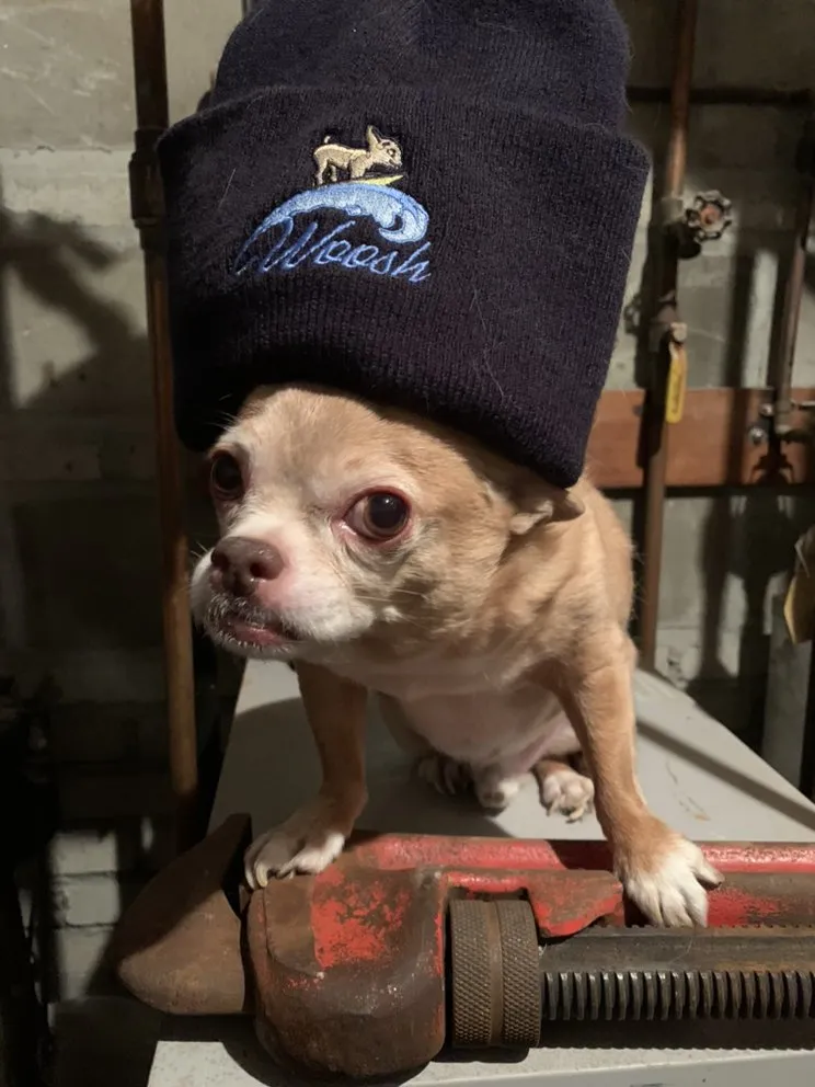 Affordable plumbing repair for homes in Queens, NY by Woosh Pipe and Drain Company