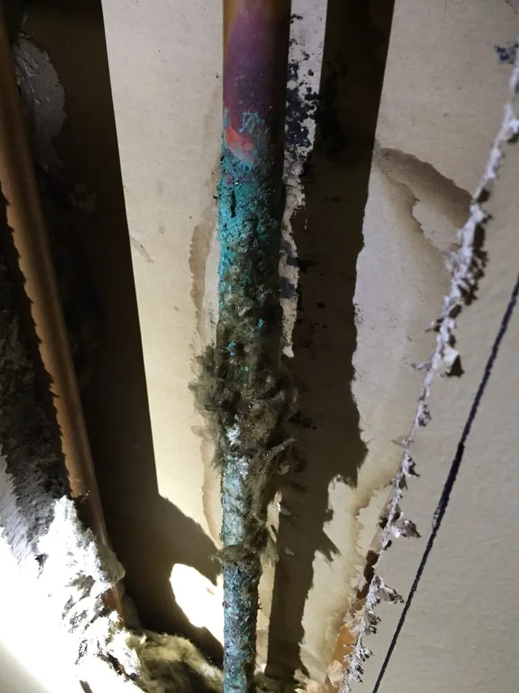 Slide of Worthy Plumbing