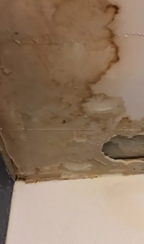 Emergency plumbing repair in Clearfield, UT by Wright's Plumbing & Rooter