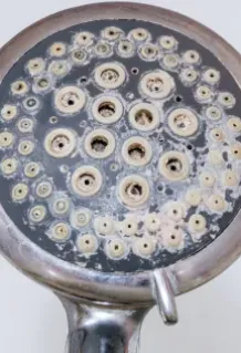 Slide of Wright's Plumbing & Rooter