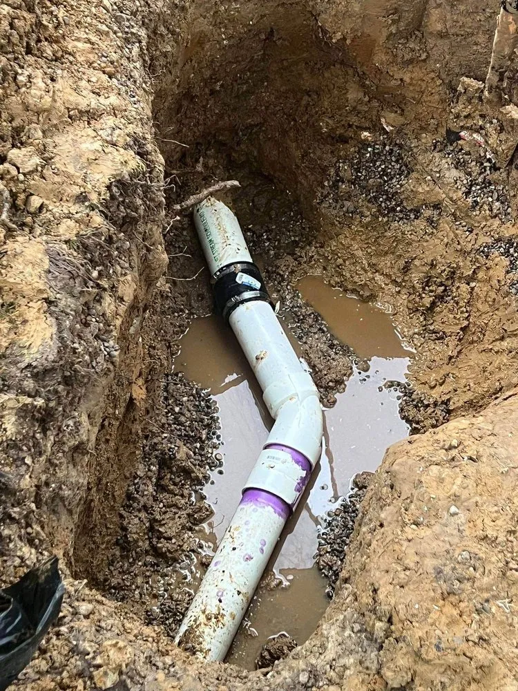 Slide of Wright's Remodeling