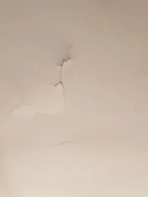 Wynne Plumbing & Heating Company Logo