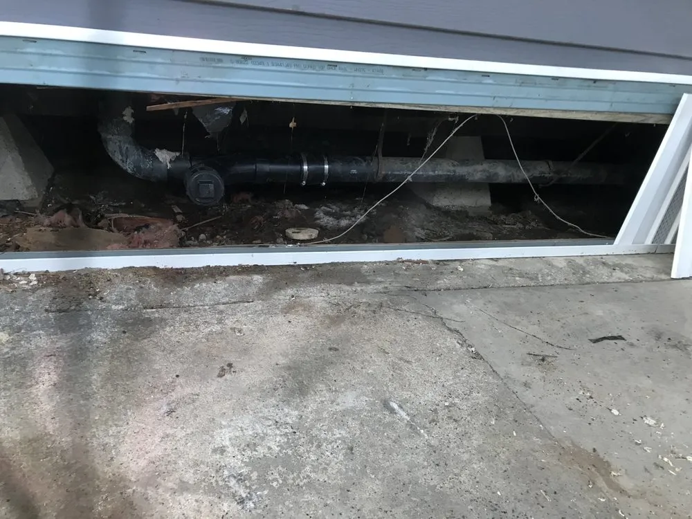 Slide of Xavier Gomez