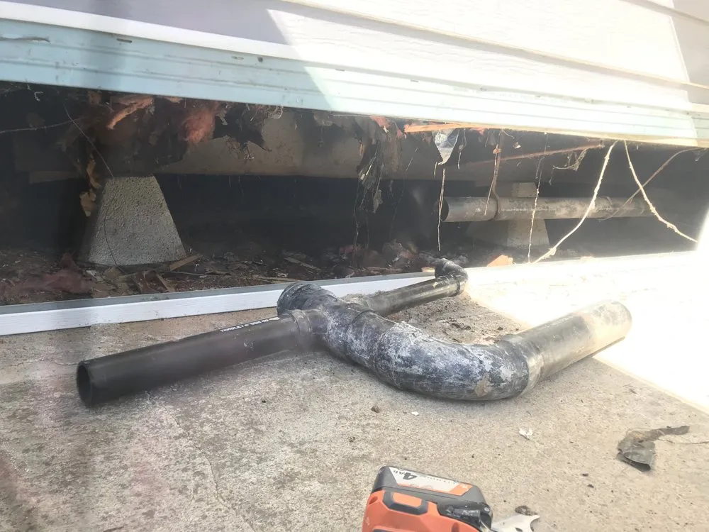 Slide of Xavier Gomez