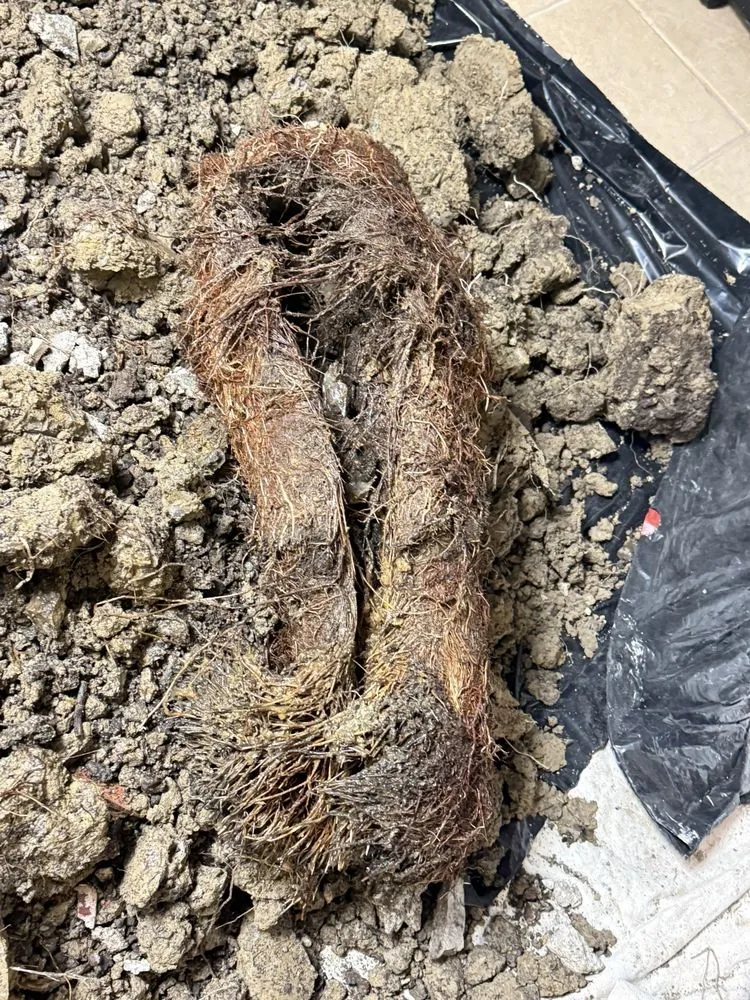 Slide of Xpert Flood Control And Seepage