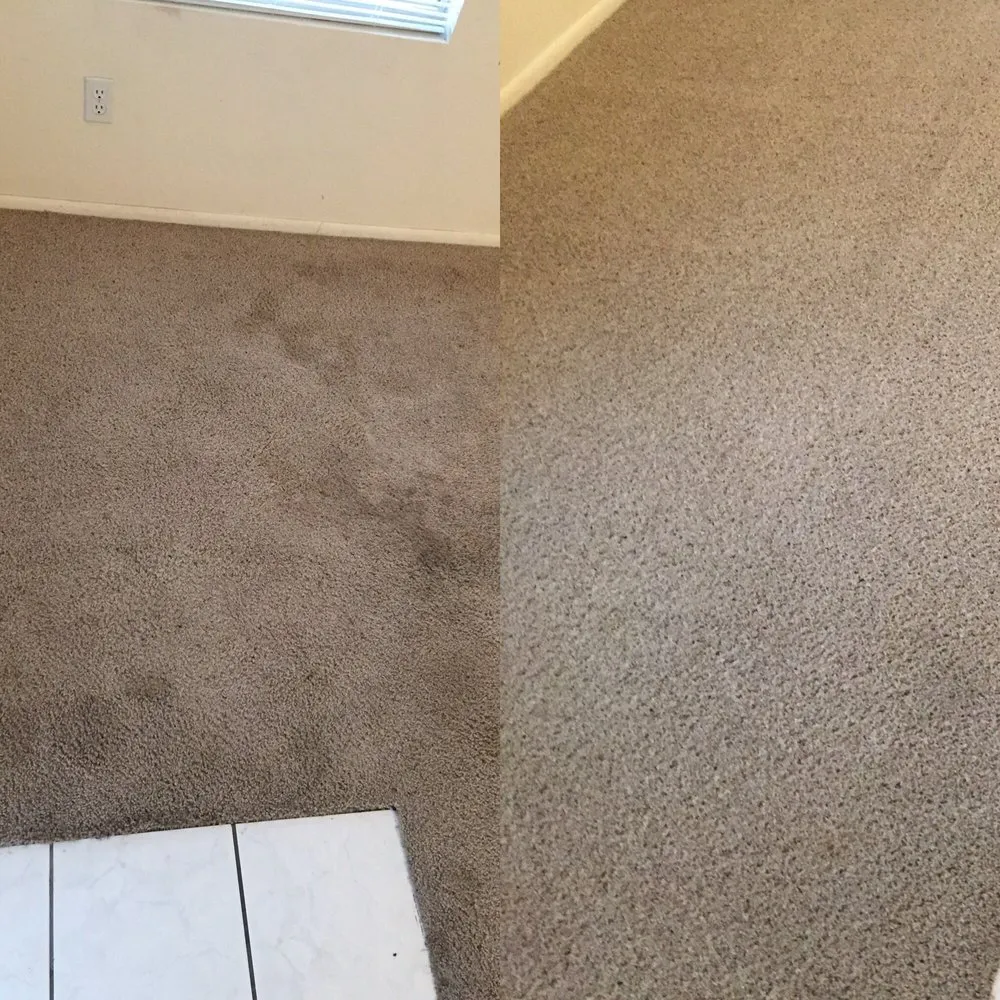 Slide of Xpertex Services