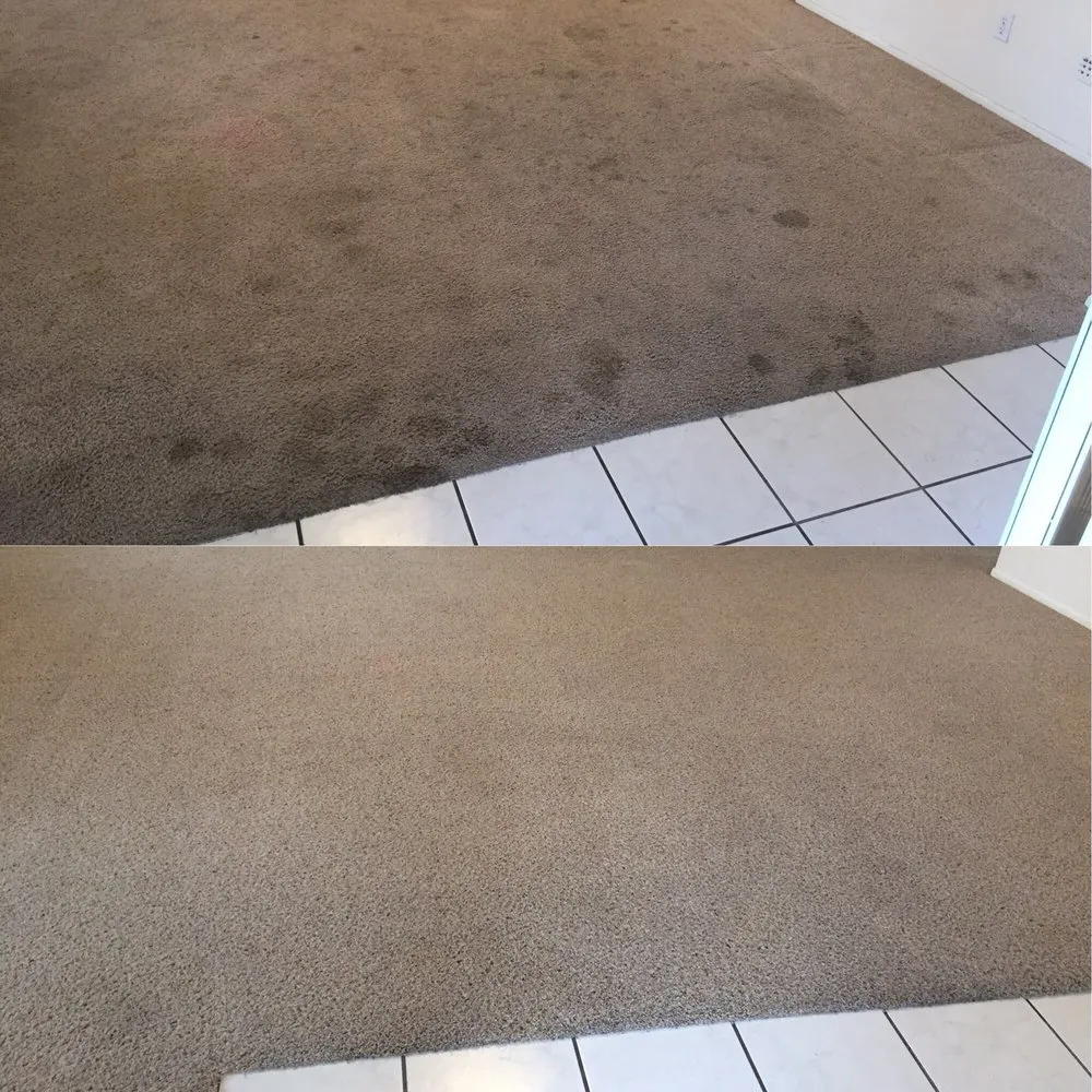 Slide of Xpertex Services