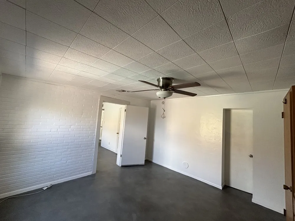 Slide of Y & M Painting and More