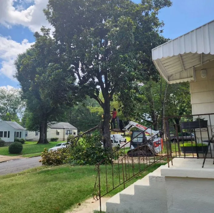 Slide of Yahnus Contracting