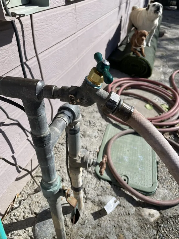 Slide of Yang's Drain and Plumbing