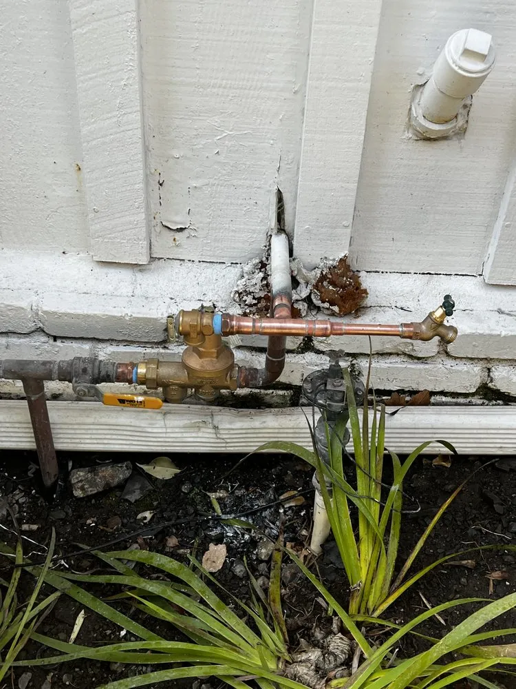 Slide of YELLOW BEE plumbing