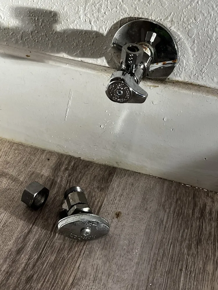 Slide of YELLOW BEE plumbing