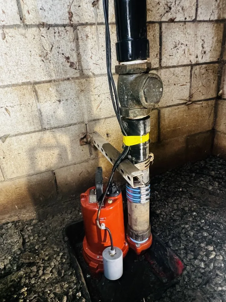 Slide of YELLOW BEE plumbing